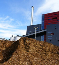 biomass energy projects